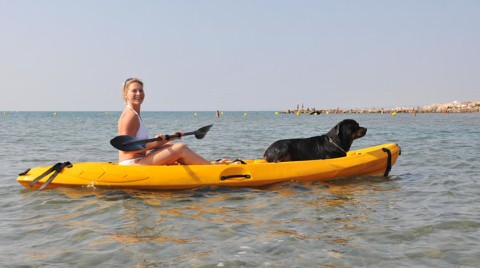 Can Dogs Go in an Inflatable Kayak?
