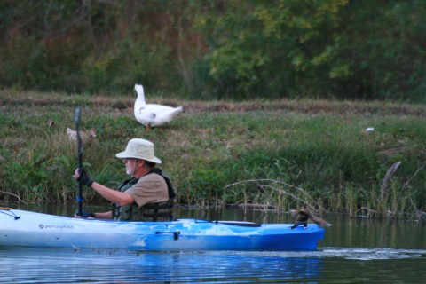 fishing kayaks if you're on a budget